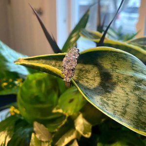 Sterling Silver CZ Three Stone Fashion Ring